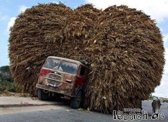 14548-grosser-transport.jpg