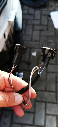 Stecker Nebelsch..jpg