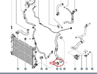 Kühler-Schlauchschelle.jpg