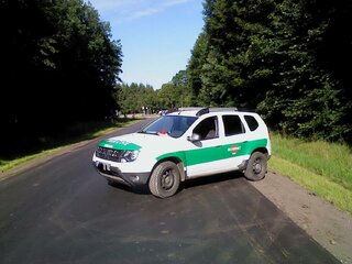 dacia Polizei 001a.jpg