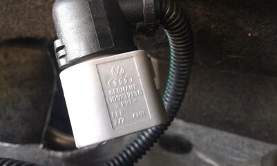 AGR Stecker VW AUDI in einem Dacia.jpg