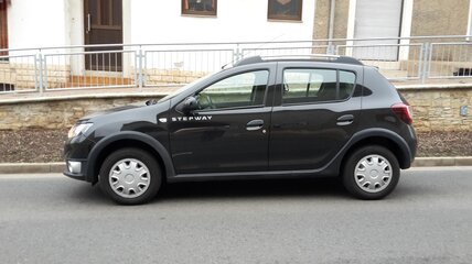 Stepway mit WR 195_65 R15H-1.jpg