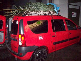 Hohenwutzen Weihnachtsbaum 2012 12 16.jpg