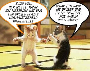 katzendialog.jpg