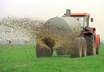 Gut-fuer-die-Nase-schlecht-fuer-die-Bauern-Guelle-Silvester-droht-ins-Wasser-zu-fallen_image_1...jpg