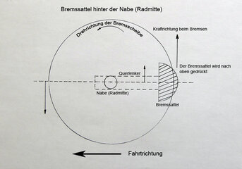 BRhinterNarbe.jpg