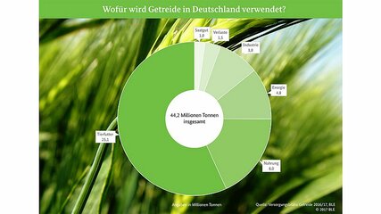 csm_Grafik_getreide---verwendung-in-deutschland_1340px_x-754px_BLE_822bb44443.jpg