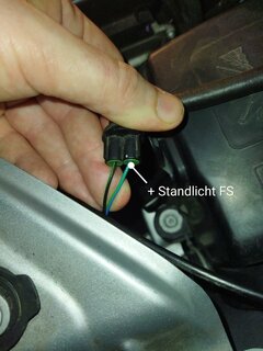 Stecker Standlicht.jpg