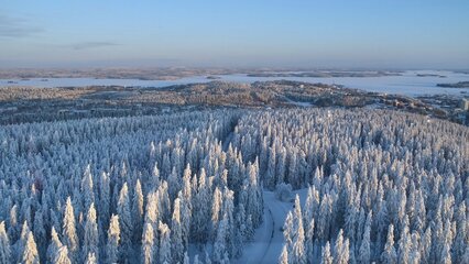 02 Blick vom Puijon Turm Kuopio (nach nordosten).jpg